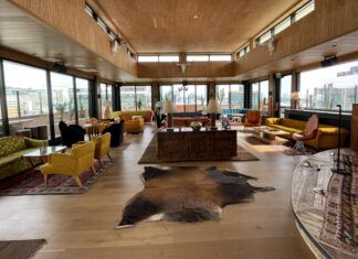 a room with a cow skin rug and couches