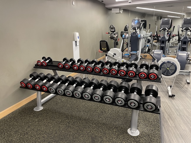 a rack of dumbbells in a gym