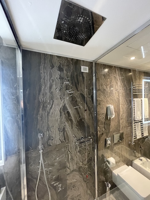 a bathroom with a shower and a toilet