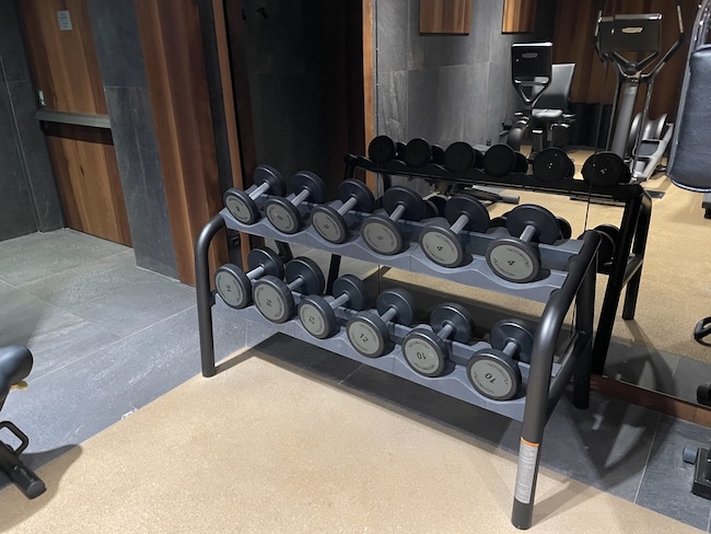 a rack of dumbbells in a gym