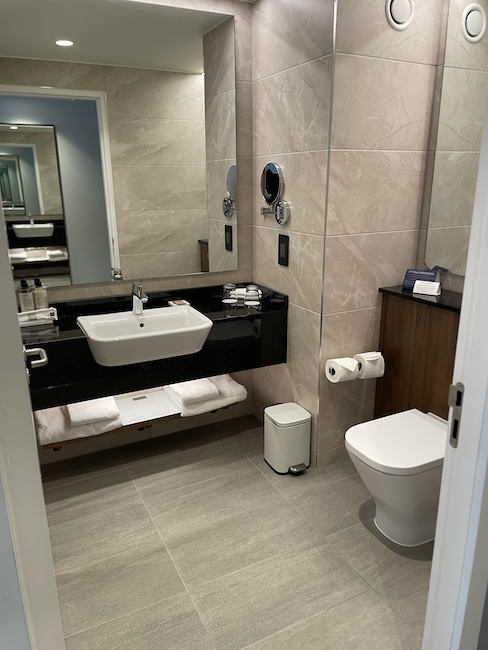 a bathroom with a sink and toilet