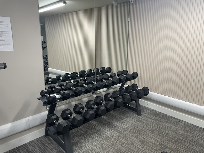 a rack of dumbbells in a room