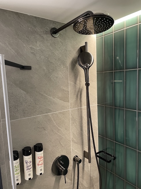 a shower head and shower head in a bathroom