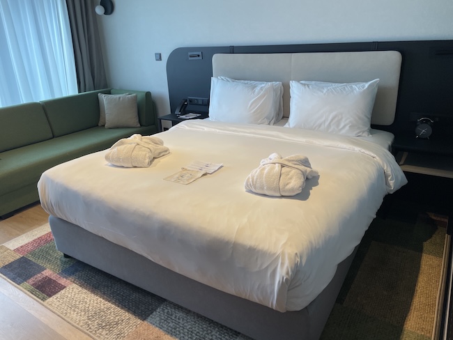 Hyatt Place Kraków King Bed + Sofa Bed Deluxe Room.