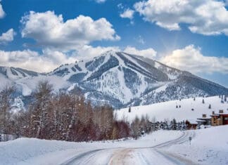 a road in the snow