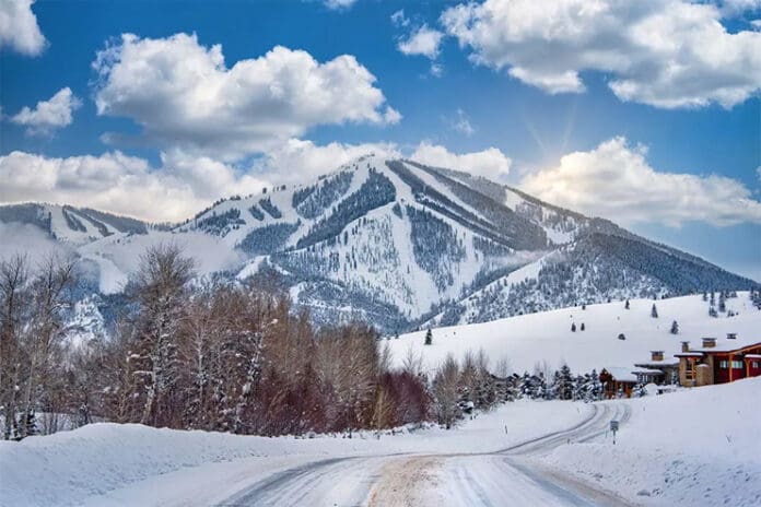 a road in the snow