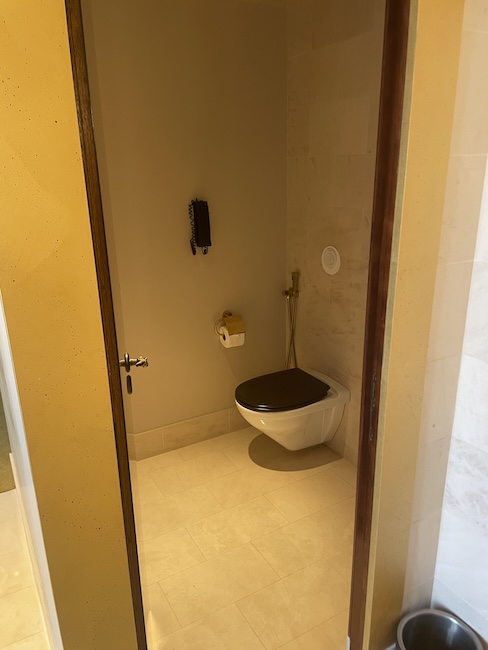 a toilet in a bathroom