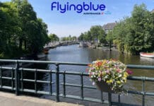 a bridge with a river and a flower pot