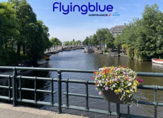 a bridge with a river and a flower pot