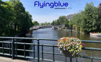 a bridge with a river and a flower pot