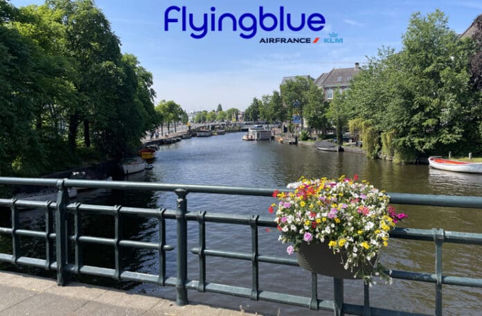 a bridge with a river and a flower pot