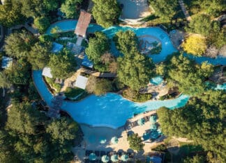 an aerial view of a pool surrounded by trees