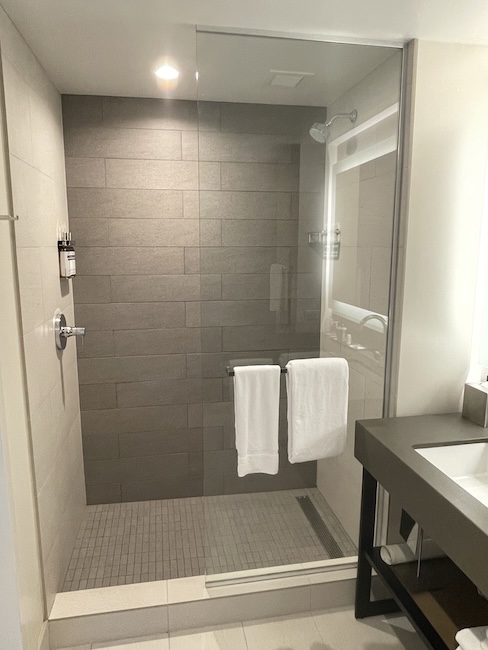 Hyatt Regency Seattle King Bed View Room
