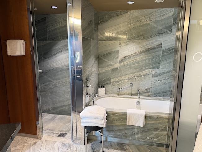 Grand Hyatt Berlin Junior Suite bathroom.