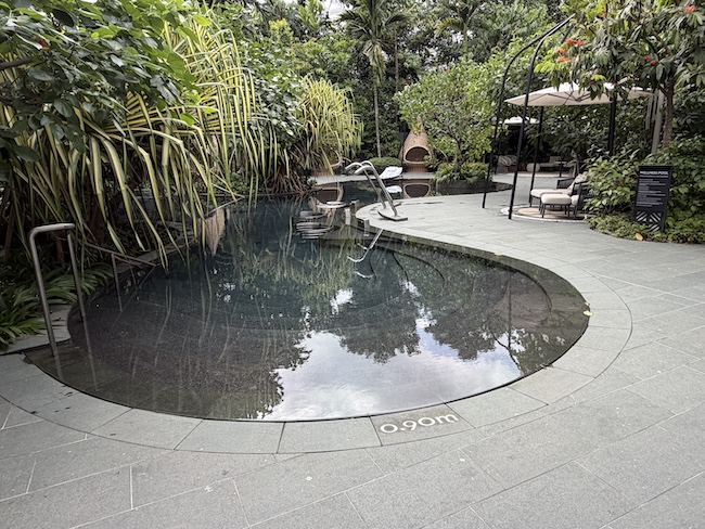 Grand Hyatt Singapore Wellness Pool/area