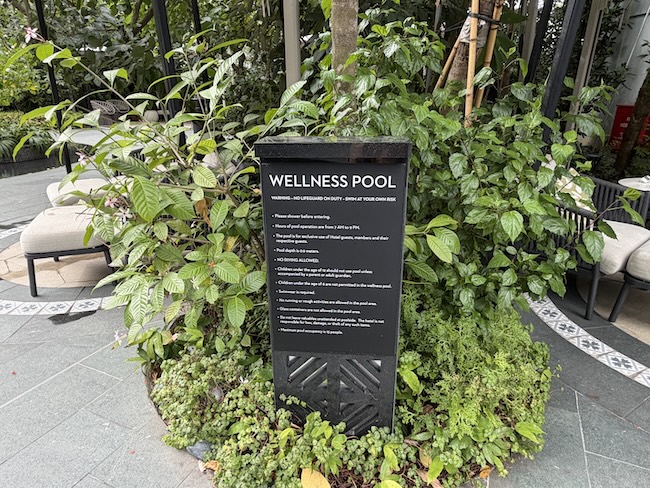 Grand Hyatt Singapore Wellness Pool/area