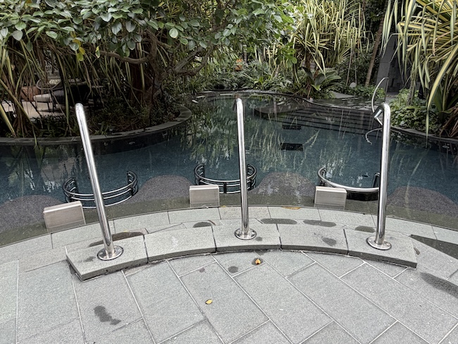Grand Hyatt Singapore Wellness Pool/area