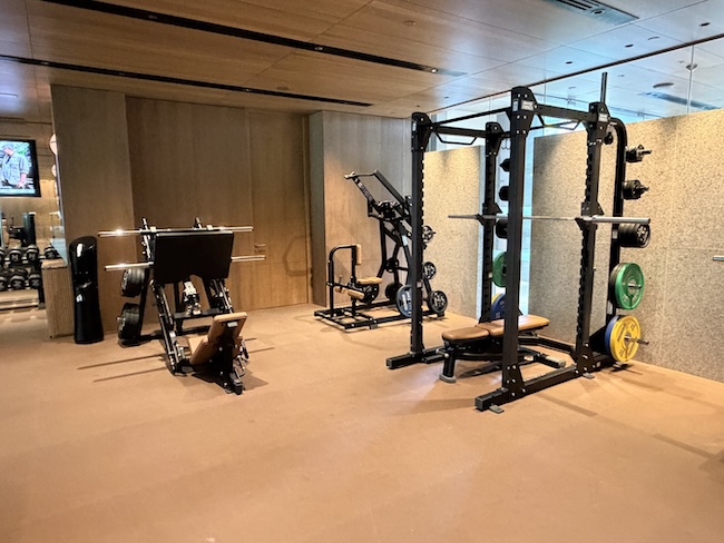 Grand Hyatt Singapore Fitness center/gym.