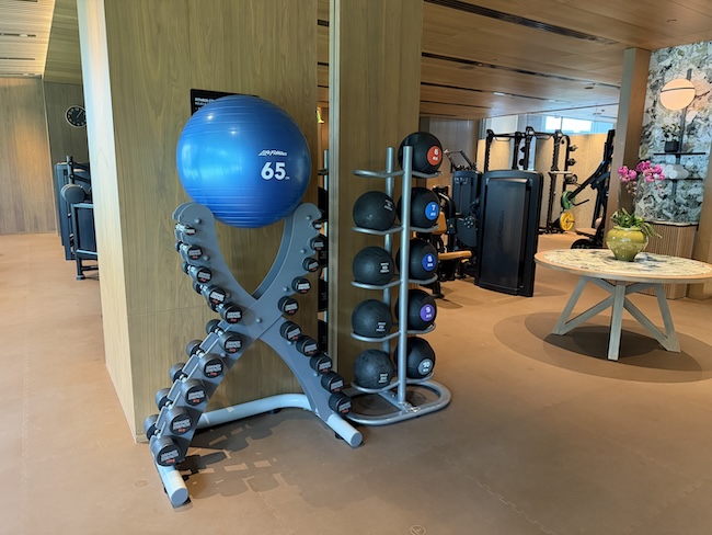 Grand Hyatt Singapore Fitness center/gym.