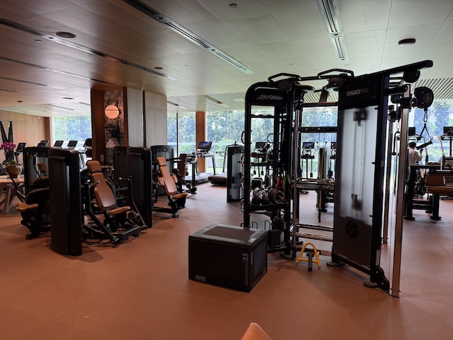Grand Hyatt Singapore Fitness center/gym.