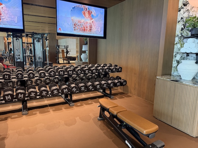 Grand Hyatt Singapore Fitness center/gym.