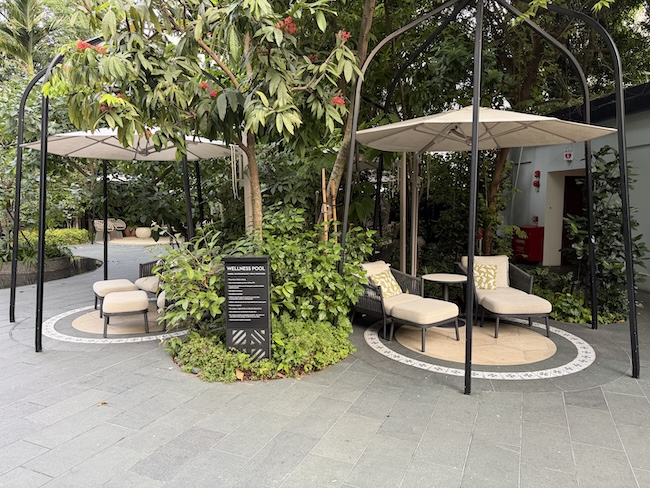 Grand Hyatt Singapore Wellness Pool/area