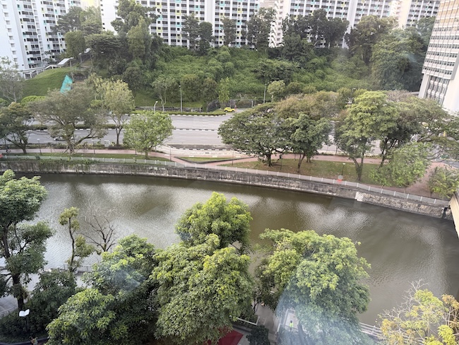 InterContinental Singapore Robertson Quay view from King Classic room.